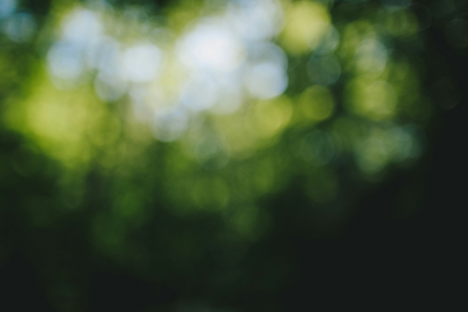 Soft green scene representing calm, family-centered recovery